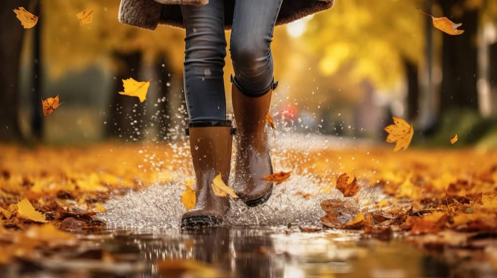 understanding fall intake